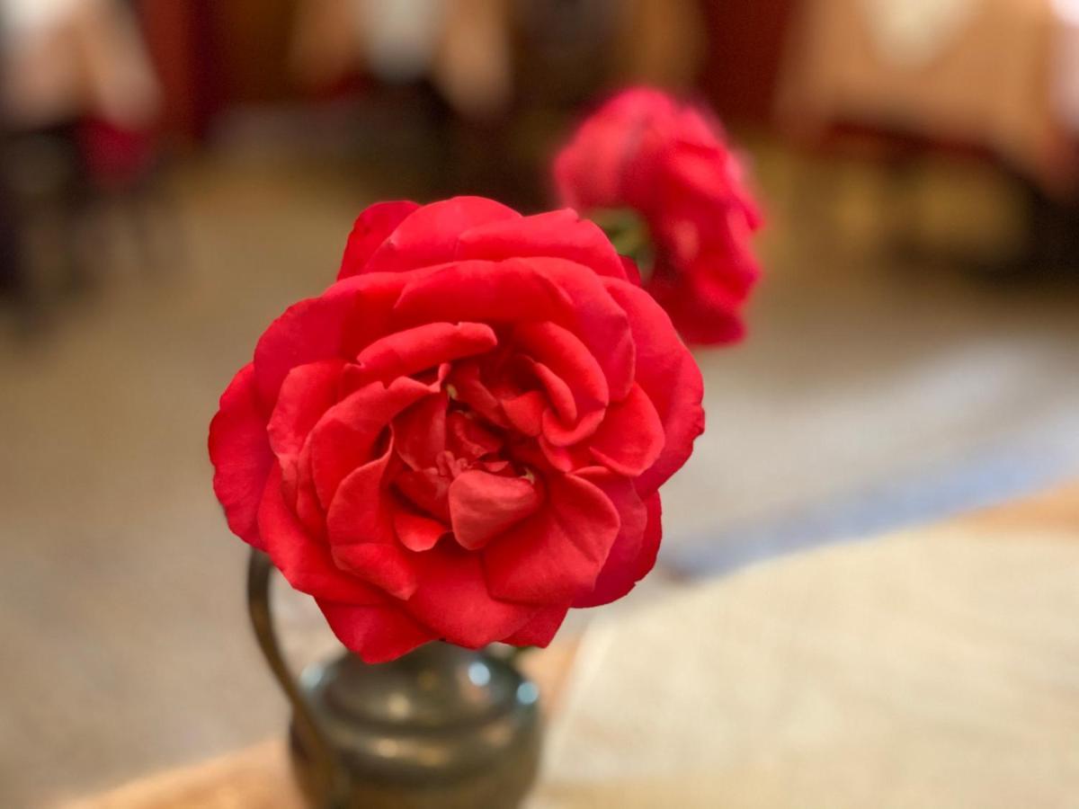 Kreuzerhof Hotel Garni Ρότενμπουργκ  Εξωτερικό φωτογραφία